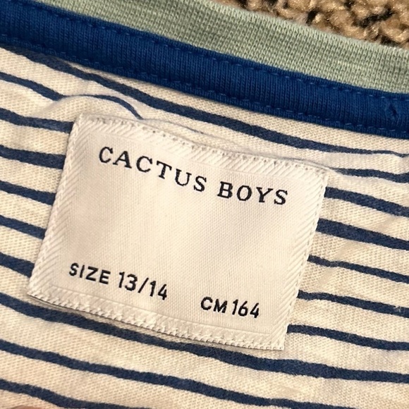 Cactus Boys Striped T-Shirt 13/14 100% cotton India k1 - Picture 3 of 5